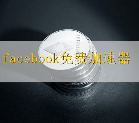 facebook免费加速神器(轻蜂加速不能上facebook)